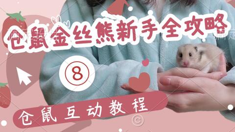 金丝熊仓鼠新手怎么养 7dc83fb107d3ba5391a2f04f14e2e2b2cfab9446.jpg@480w_270h_1c