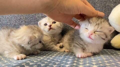 7dcafcf5fb38d219afe740f4c972d8dcd5ecd9b5.jpg@480w_270h_1c