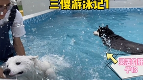 立耳教程 7dcbbb8f5fa39851163b14272e7b813755c7ac73.jpg@280w_158h_1c_100q.jpg