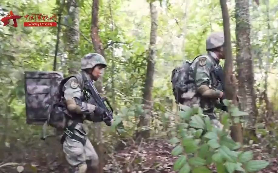 解锁“新地图” 当侦察分队遇上丛林环境战场