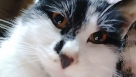 7de7940be110a65517b69f9f5a5d573c5ff56b33.jpg@280w_158h_1c_100q.jpg