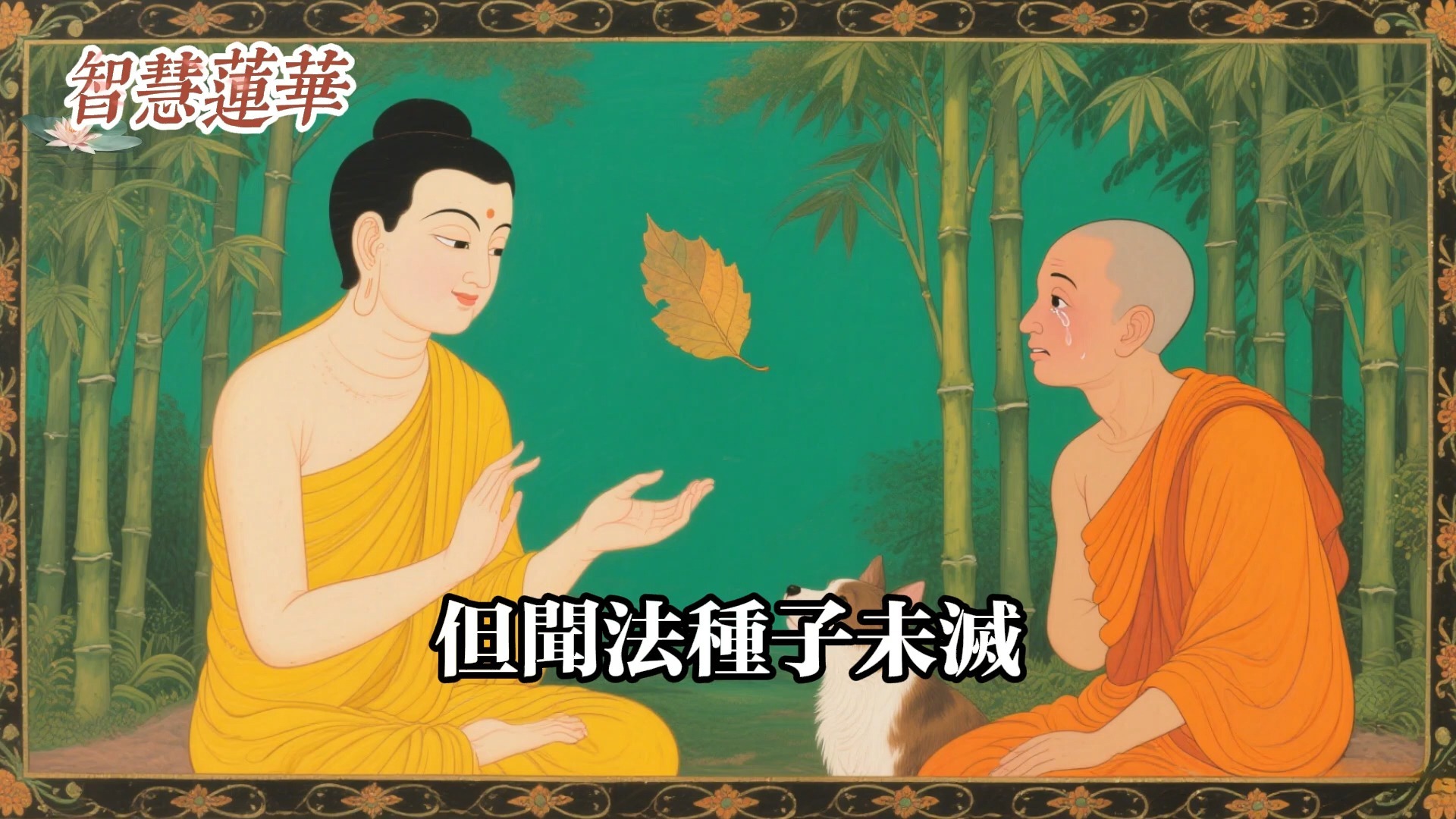 為何寵物常凝視主人？佛門智者道破：這種緣分牽引的果報令人動容！#佛教 #佛法 #佛教玄學 #佛教智慧 #佛學知識 #佛學智慧 #修心修行 #佛教文化 #禪悟人生