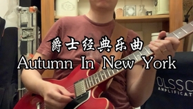 爵士吉他标准曲谱_爵士吉他(4)