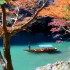 【4K超清-搬运】2020 日本の紅葉 Autumn leaves in Japan
