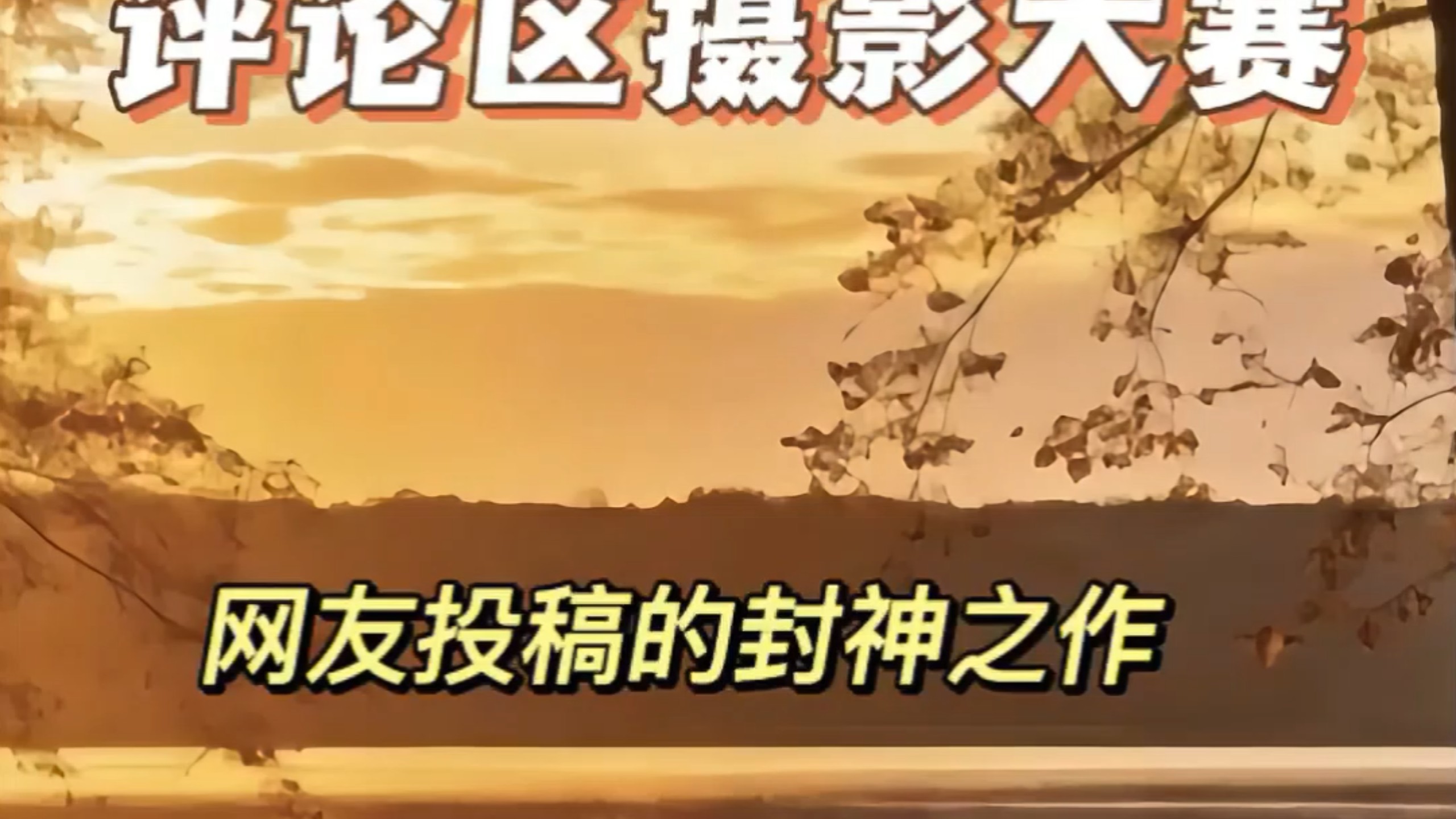 评论区摄影大赛之来提升审美，自网友投稿的封神之作。