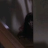 伽椰子从楼梯上爬下来，日本电影《咒怨》经典片段
