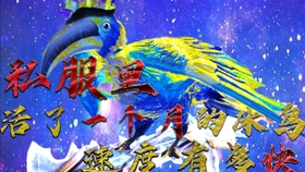 7e674bb41e327740f41ab82ec68381f174d98d58.jpg@280w_158h_1c_100q.jpg