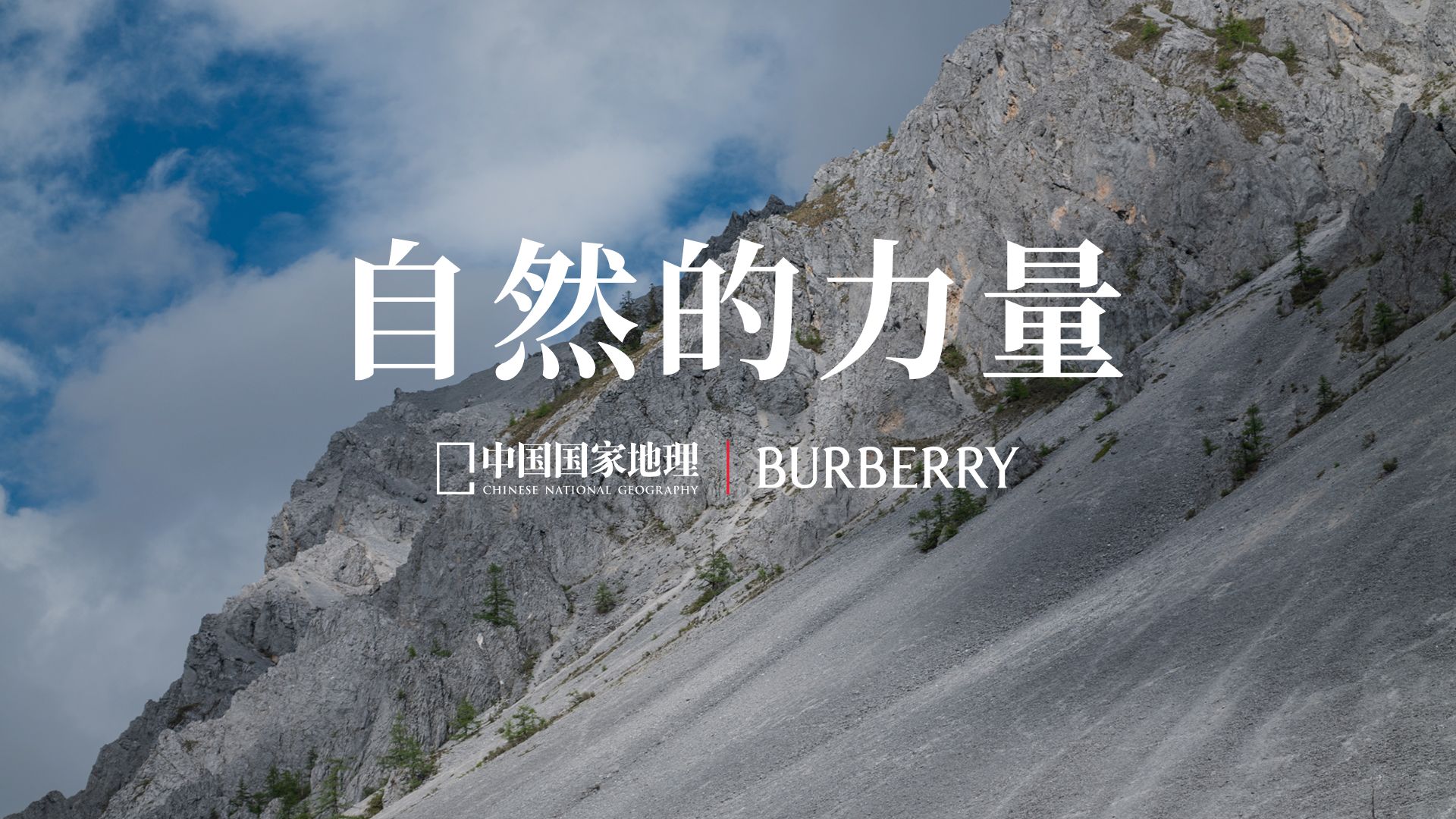 从流石滩到雪线之上，探索香格里拉的生物多样性