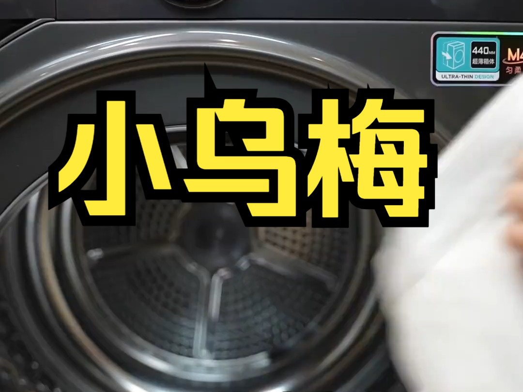 把干洗店搬回家的体验，入手这台爆款小乌梅2.0！羊毛衣物、褶皱衬衫交给它轻松搞定！