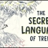 【Ted-ED】树之密语 The Secret Language Of Trees