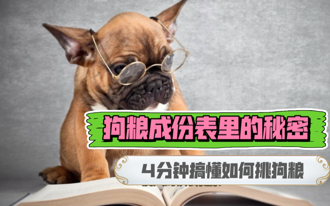 养狗进｜4分钟搞懂如何挑狗粮｜狗粮成份党详解配料表（一）