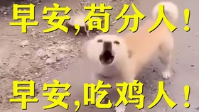 7eb2cc0a03c289cbda9d7439fb723d08e3a67e7c.jpg@280w_158h_1c_100q.jpg