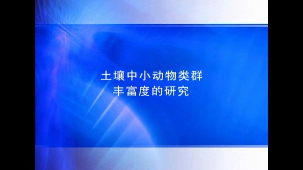 土壤中小动物类群丰富度的研究