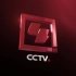 CCTV-4中文国际 频道ID