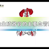 【妇产科学】女性生殖器官的主要血管解剖