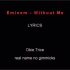 Eminem - Without Me（歌词）