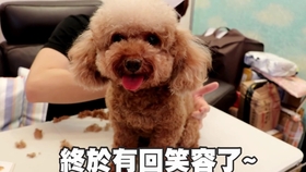 7ed40ebee85e72da27193c02c53753aed7b3cd1a.jpg@280w_158h_1c_100q.jpg