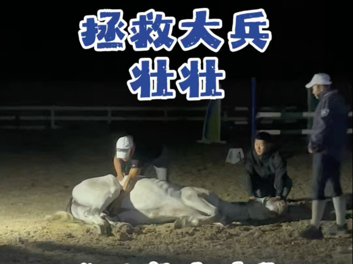 壮壮：我是公马！有蛋蛋是我的错吗？！