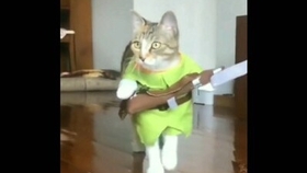 小猫咪搞笑视频超级搞笑 7ee109b801e2385d4a39a79db8a6cdad779a7070.jpg@280w_158h_1c_100q.jpg