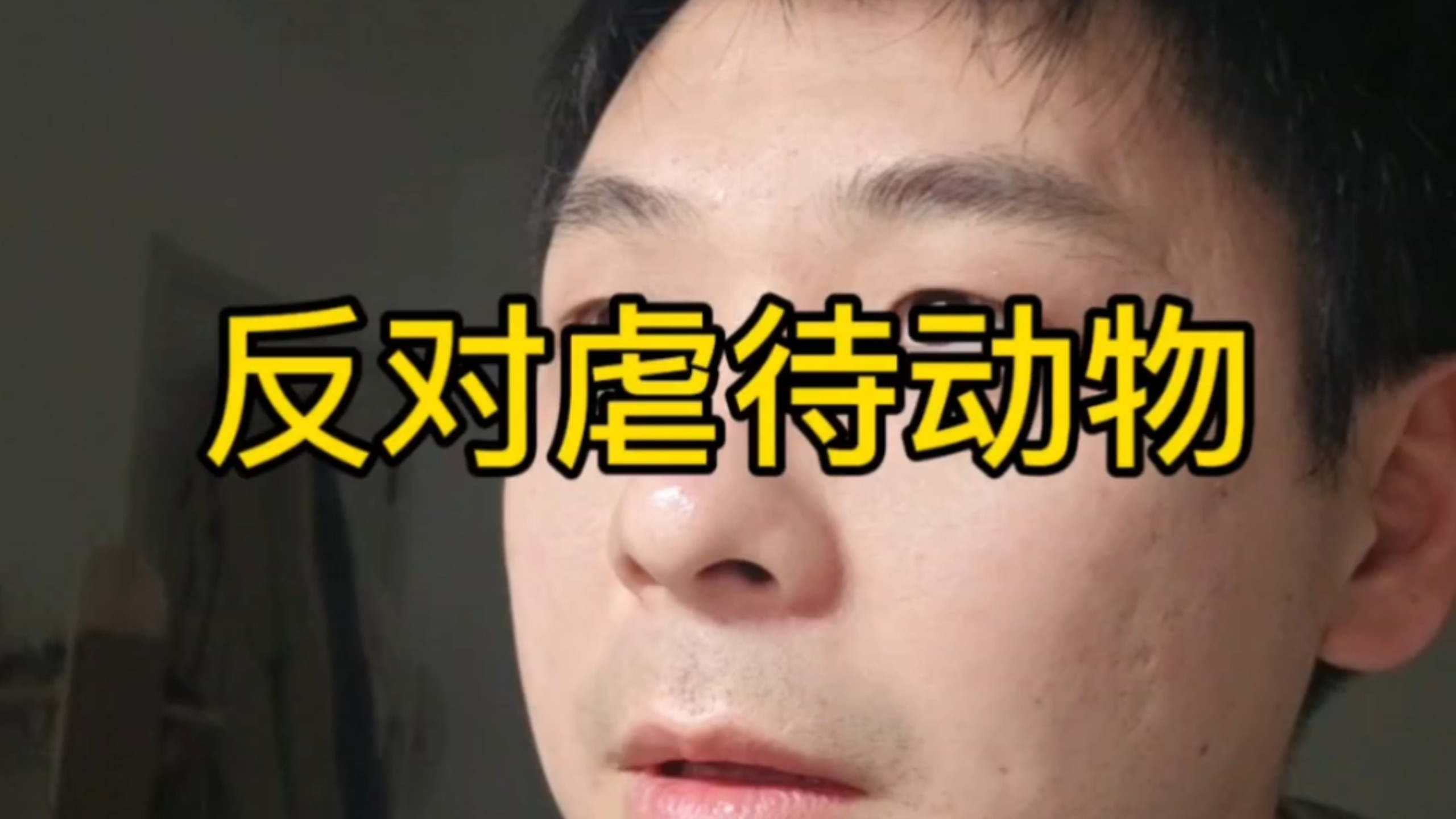 反对虐待动物