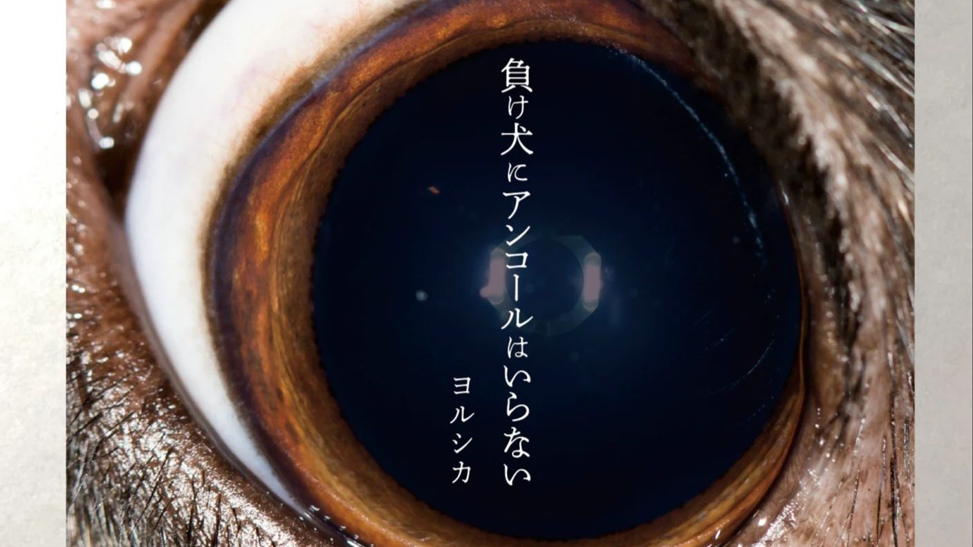 【Hi-Res无损音质】ヒッチコック/希区柯克-ヨルシカ（Yorushika） 无损音质纯享