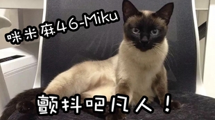 7eee8d1cb931c50084c162d51c0a8ff31cffb4d0.jpg@310w_174h_1c_100q.jpg