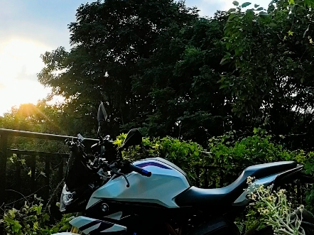 【壮壮薄荷仔】最新视频已上线，快来围观！