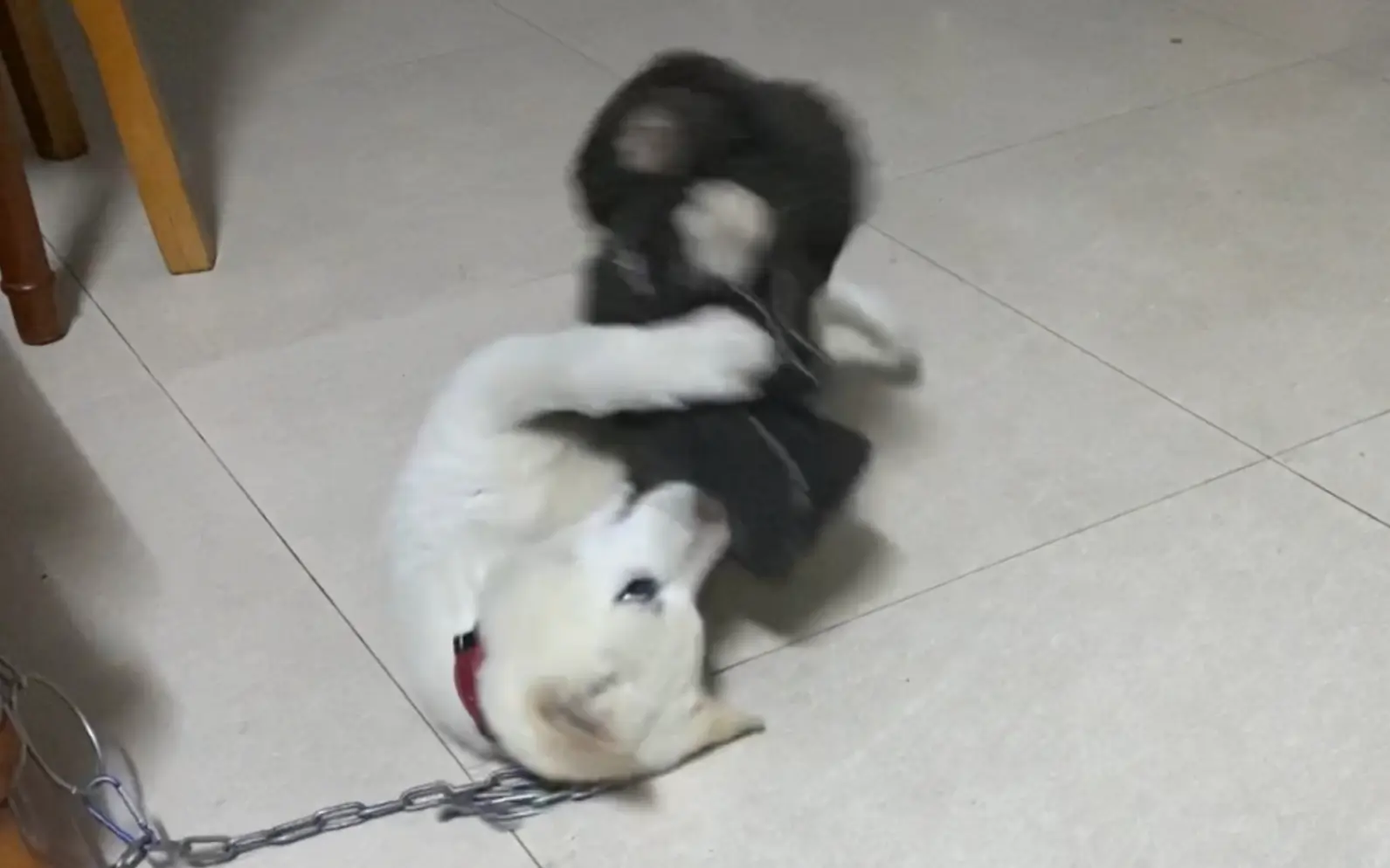 戴着镣铐跳舞(误)