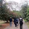 春节出游