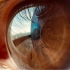 iPhone13pm瞳孔摄影实录