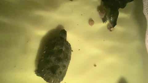 7f082bbcb47db9e9a78264c9052c3cf5032188fc.jpg@480w_270h_1c