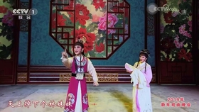 追鱼书馆曲谱_徐玉兰追鱼书馆(2)