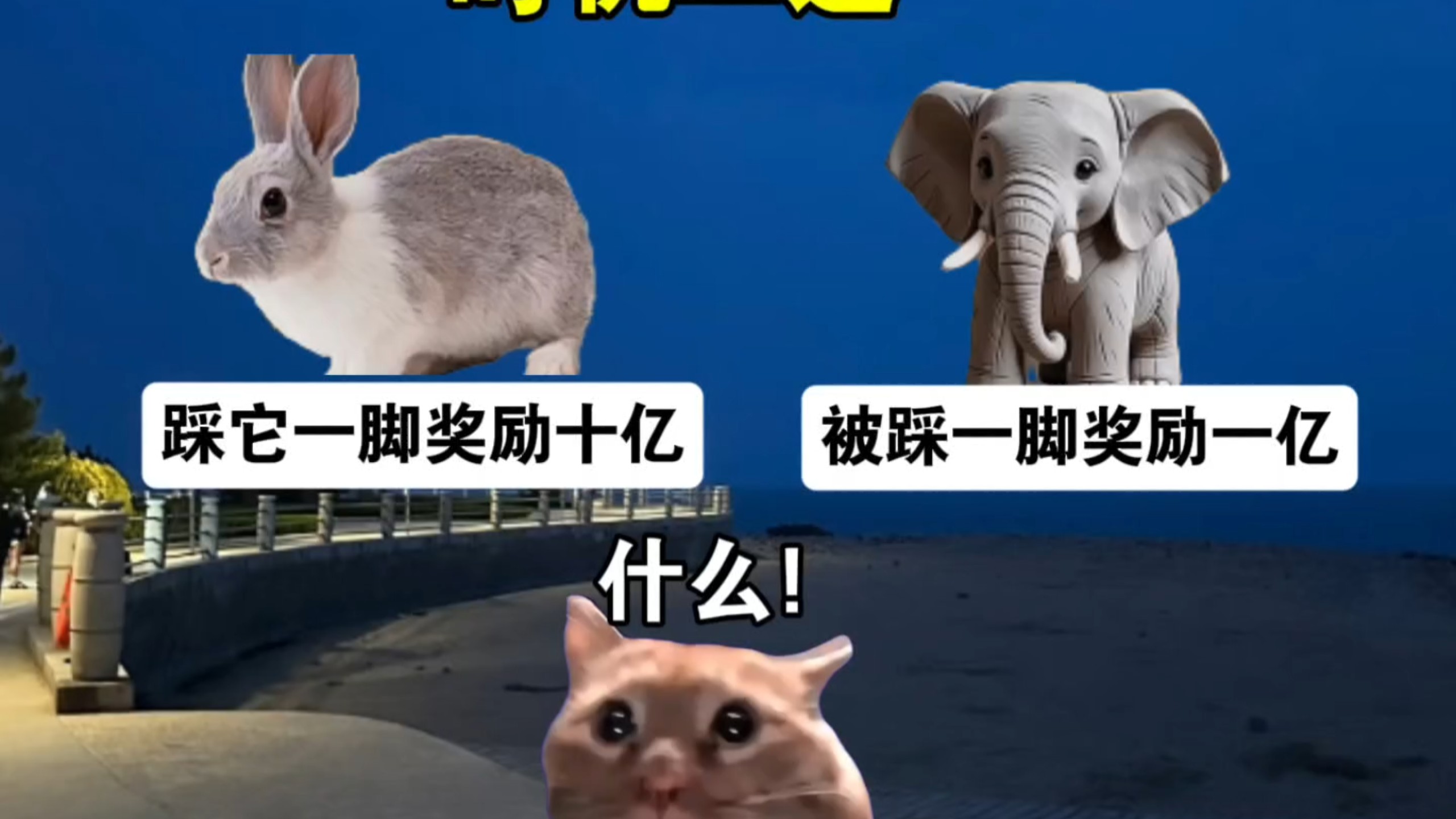 时机二选一