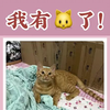 家人们！我有猫了