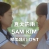 【树懒中字】SAM KIM - 夏天的雨（那年我们 OST）