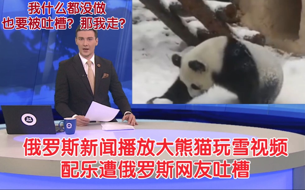 俄罗斯熊猫“妈妈粉”们 真的很严格 俄罗斯新闻播放大熊猫玩雪视频配乐 遭俄网友吐槽