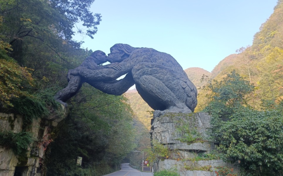 神农架官门山景区，内有珍稀动植物，美景如画。