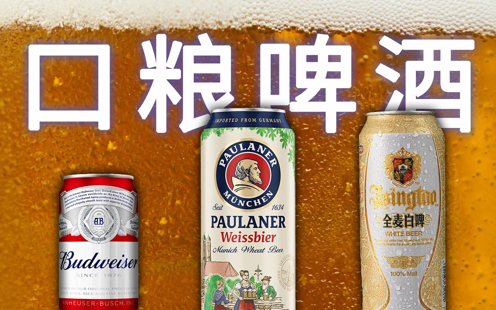 6元左右口粮啤酒盲测，柏龙最佳性价比