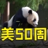 美国民众欢庆熊猫抵美50周年