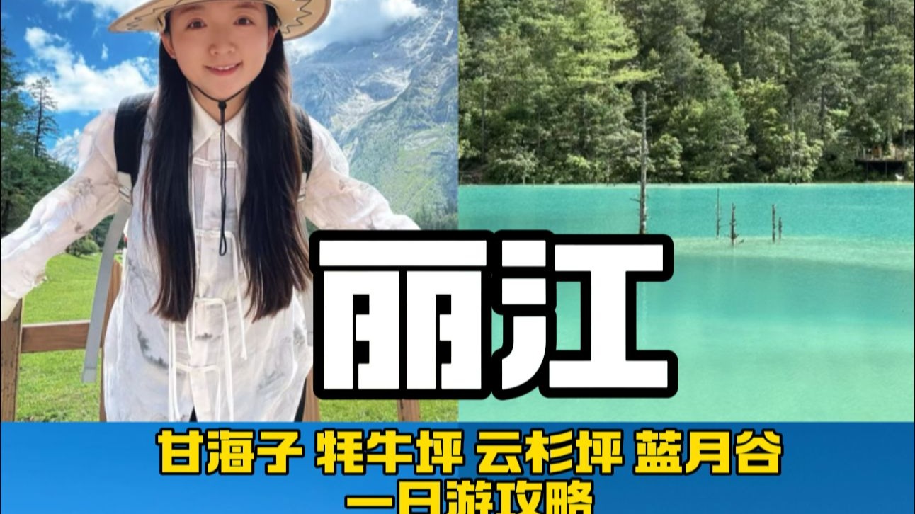 字幕下载