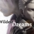 【古赫】Wildest Dreams【纳米核心】