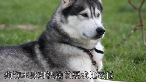 7fc427ff605924a525dc09b07e943ddea7f12b4f.jpg@480w_270h_1c
