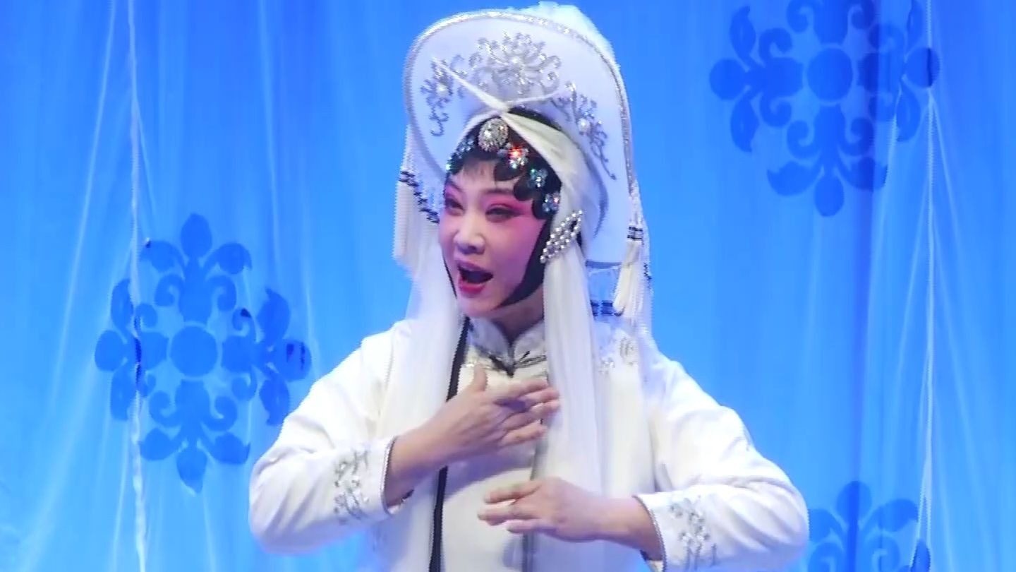 商水县豫剧团演出《胡凤莲》一级演员 党玉倩 领衔主演