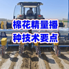 棉花精量播种技术要点