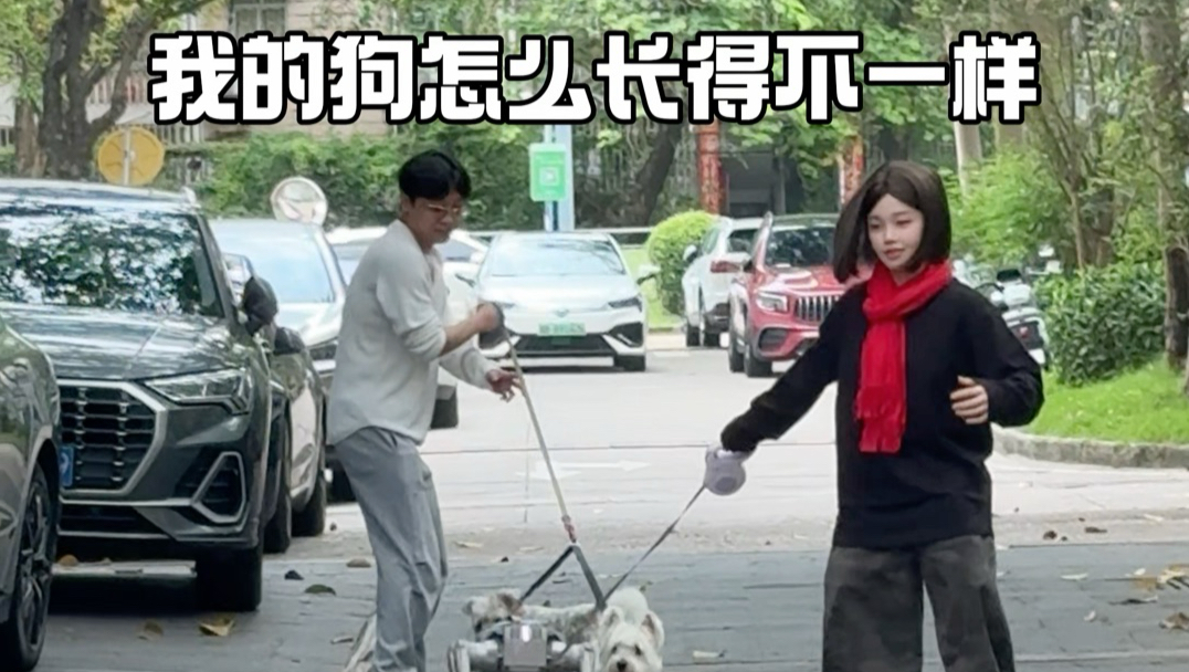豆包第一次遛狗，发现自己的狗不太一样