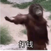 不能说秘密