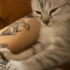 猫：要不是看你有纹身，我才不给你按摩呢！