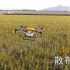 【日本旅游】看日本如何用无人机非常专业的喷洒农药
