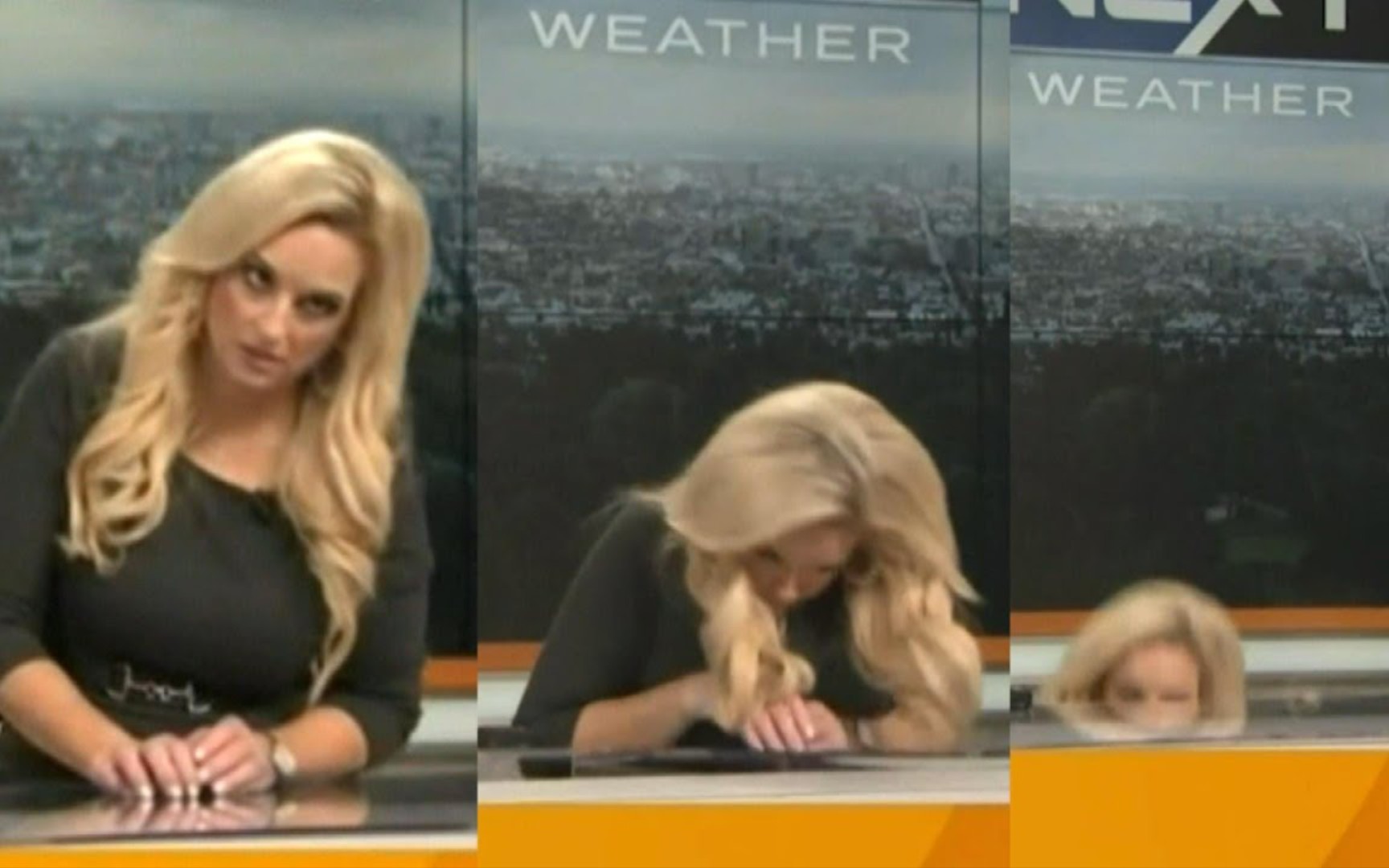 Host of a weather program on foreign TV, fainted on air