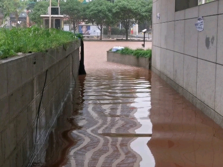 一夜暴雨后的长沙